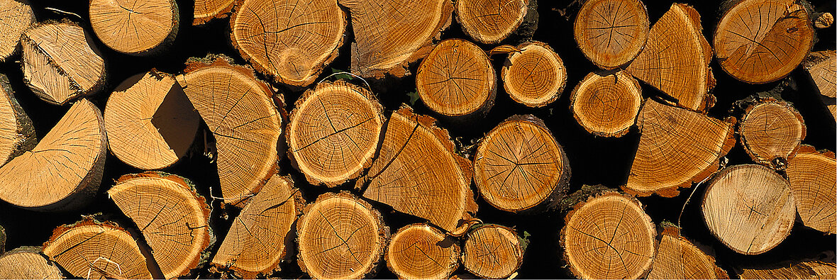 Gestapelte, frisch geschnittene Holzscheite – Querschnitte mit sichtbaren Jahresringen, symbolisieren nachwachsende Energiequelle aus Biomasse