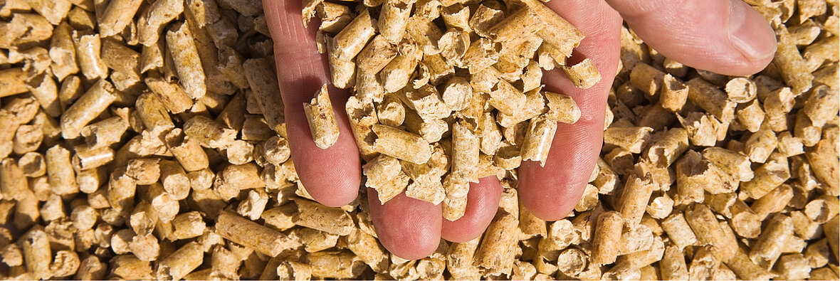 Nahaufnahme einer Hand, die Holzpellets durch die Finger rieseln lässt – Biomasse als erneuerbare Energiequelle