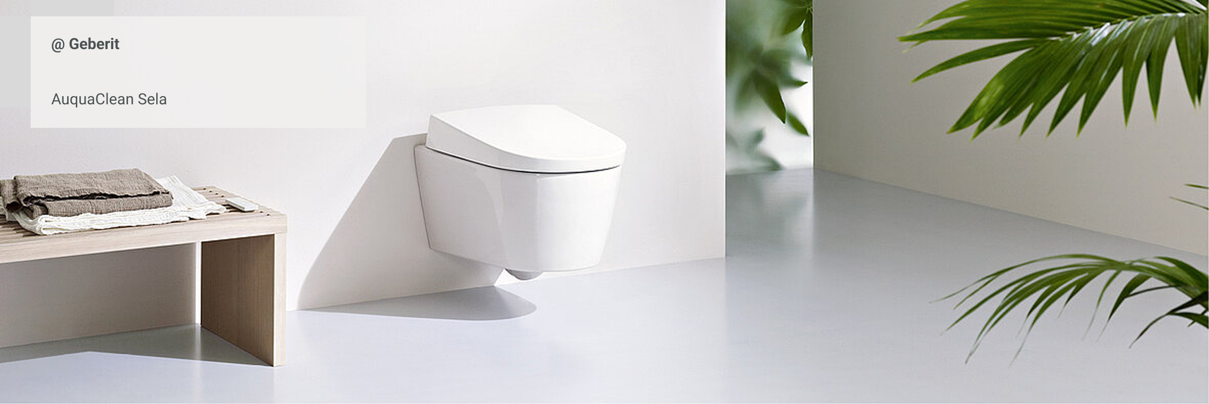 Wandhängendes Dusch-WC in modernem, minimalistischen Badezimmer mit hellem Interieur, Holzbank und tropischen Pflanzen